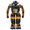 RobotWithBrain